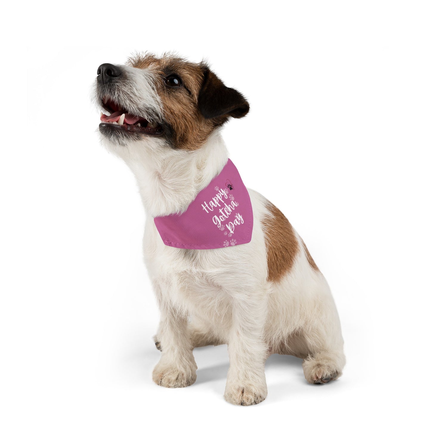 Shelter Line: Pet Bandana Collar