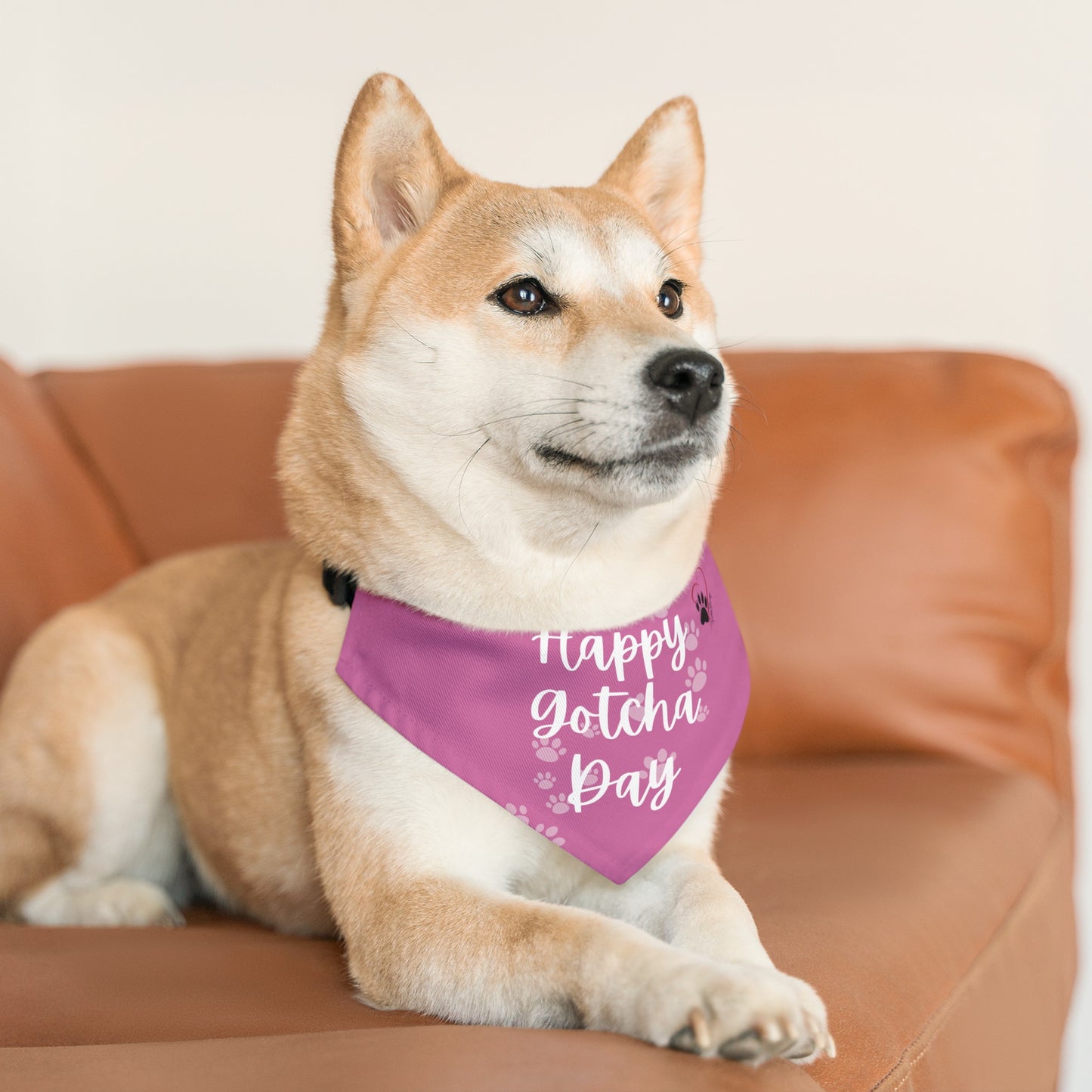 Shelter Line: Pet Bandana Collar