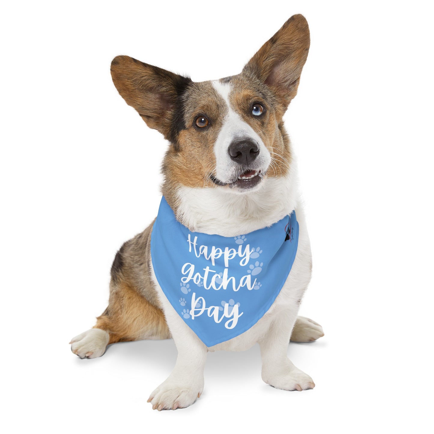 Shelter Line: Pet Bandana Collar