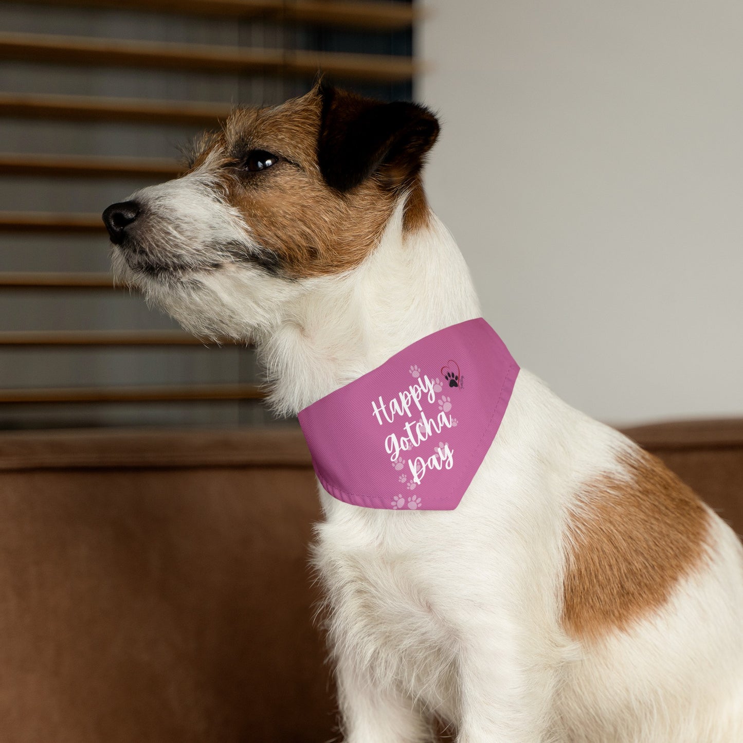 Shelter Line: Pet Bandana Collar