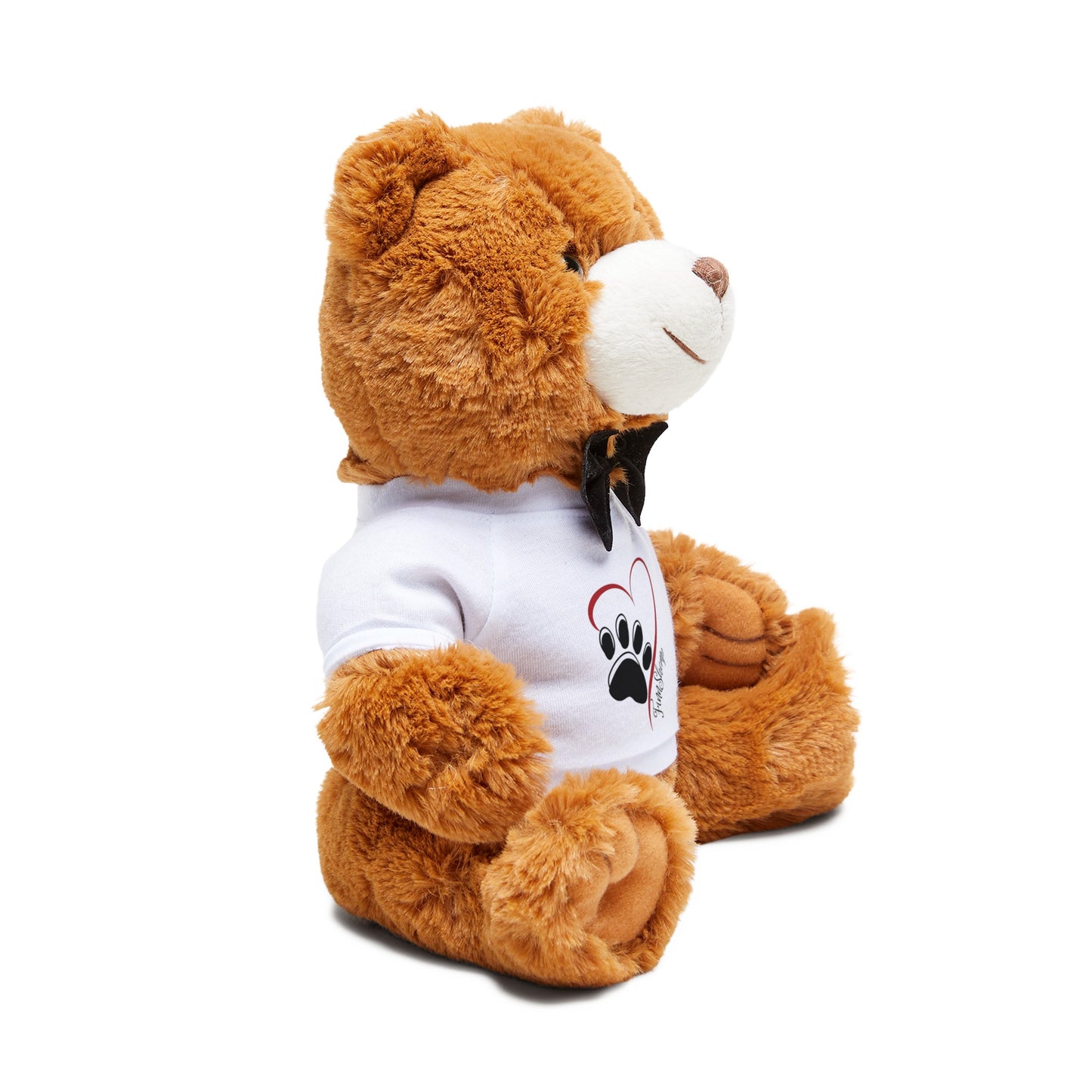 FinnShemp Teddy Bear with T-Shirt