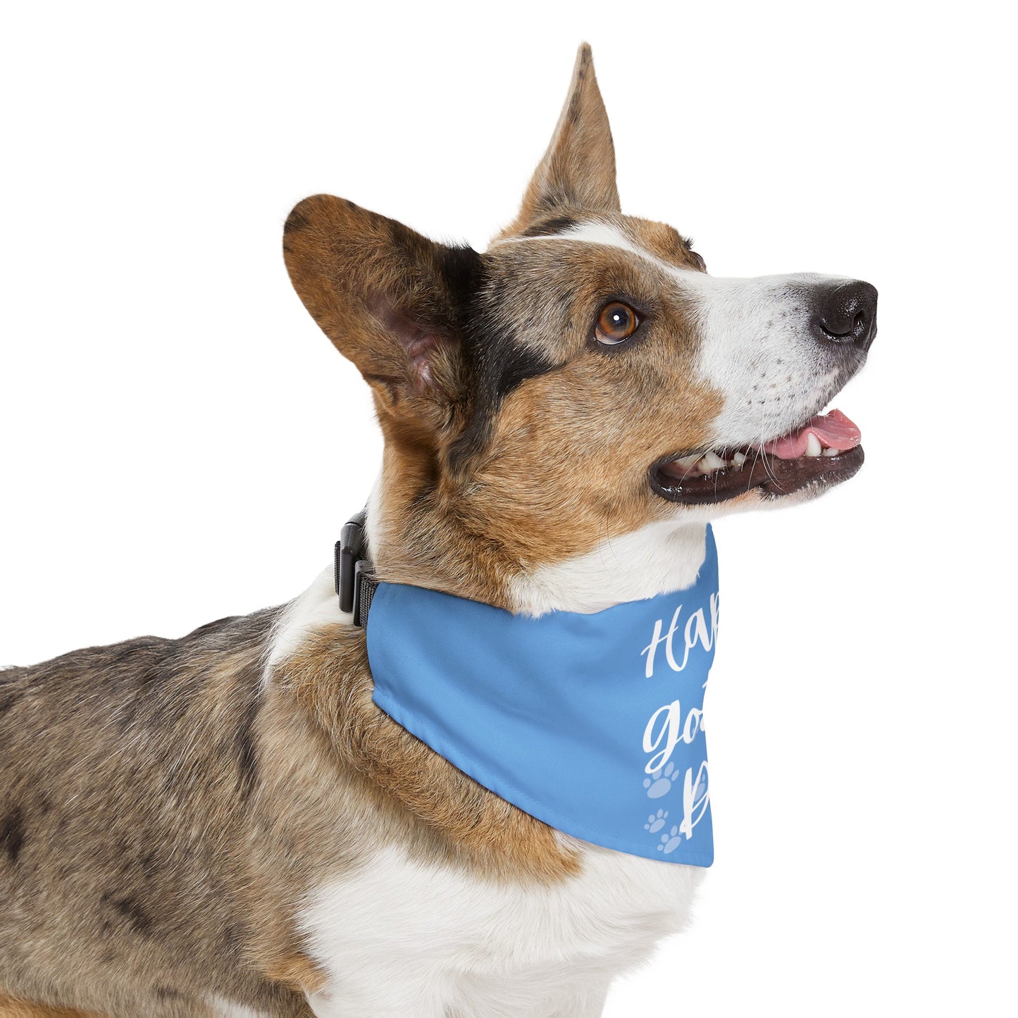 Shelter Line: Pet Bandana Collar