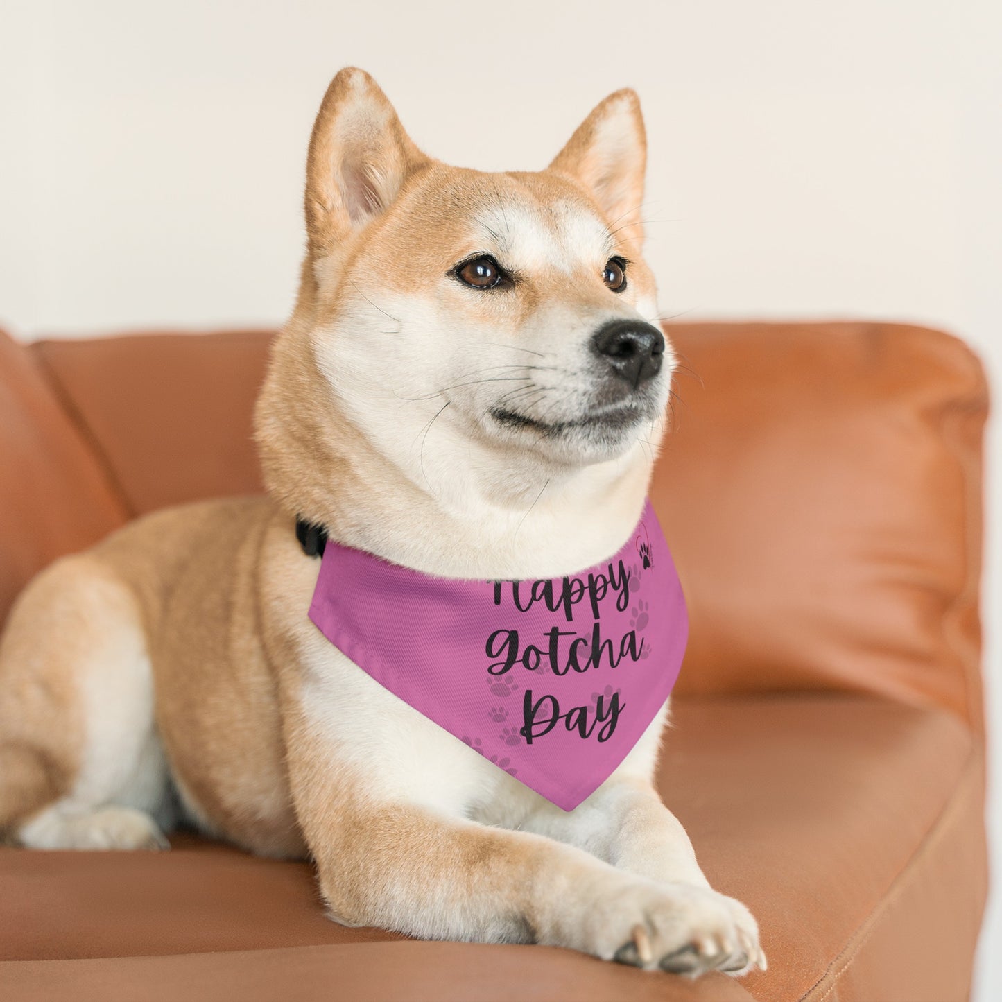 Shelter Line: Pet Bandana Collar