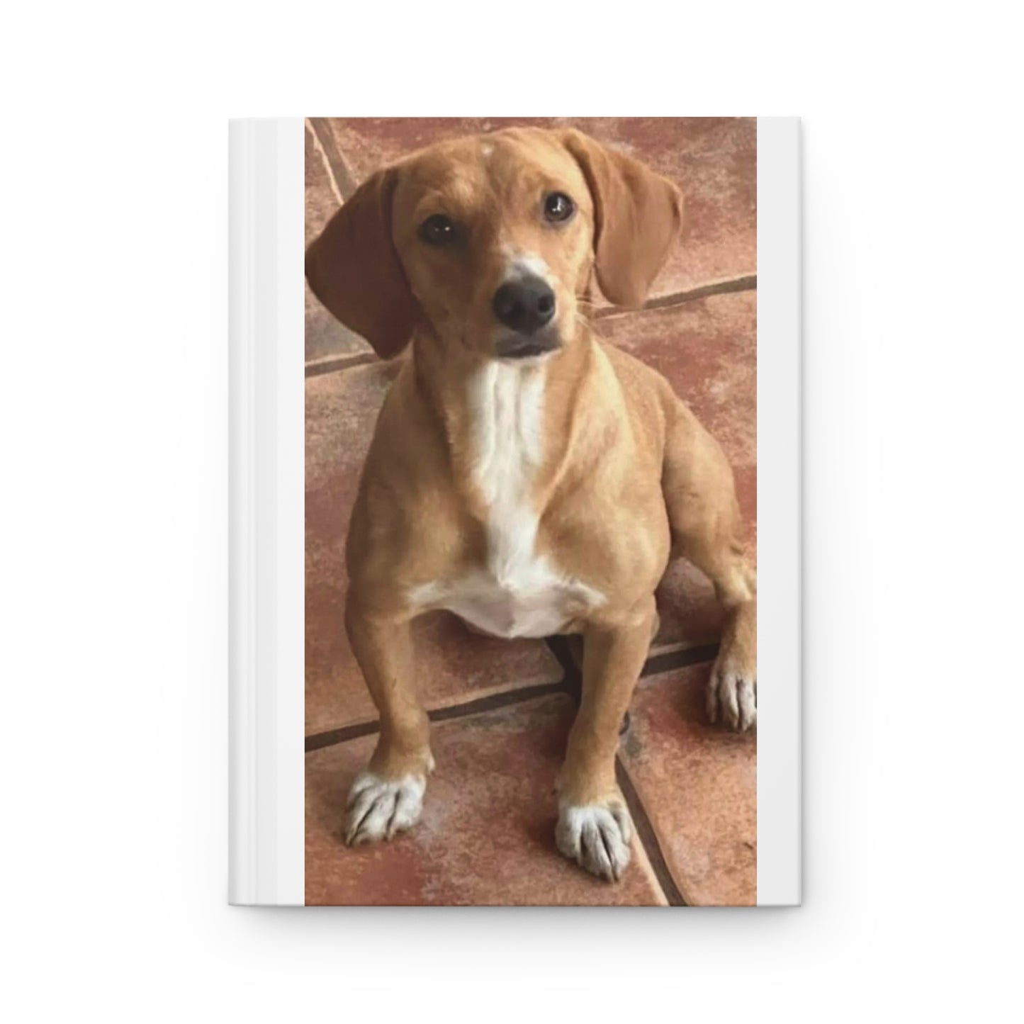 Gold Dog Hardcover Journal Matte