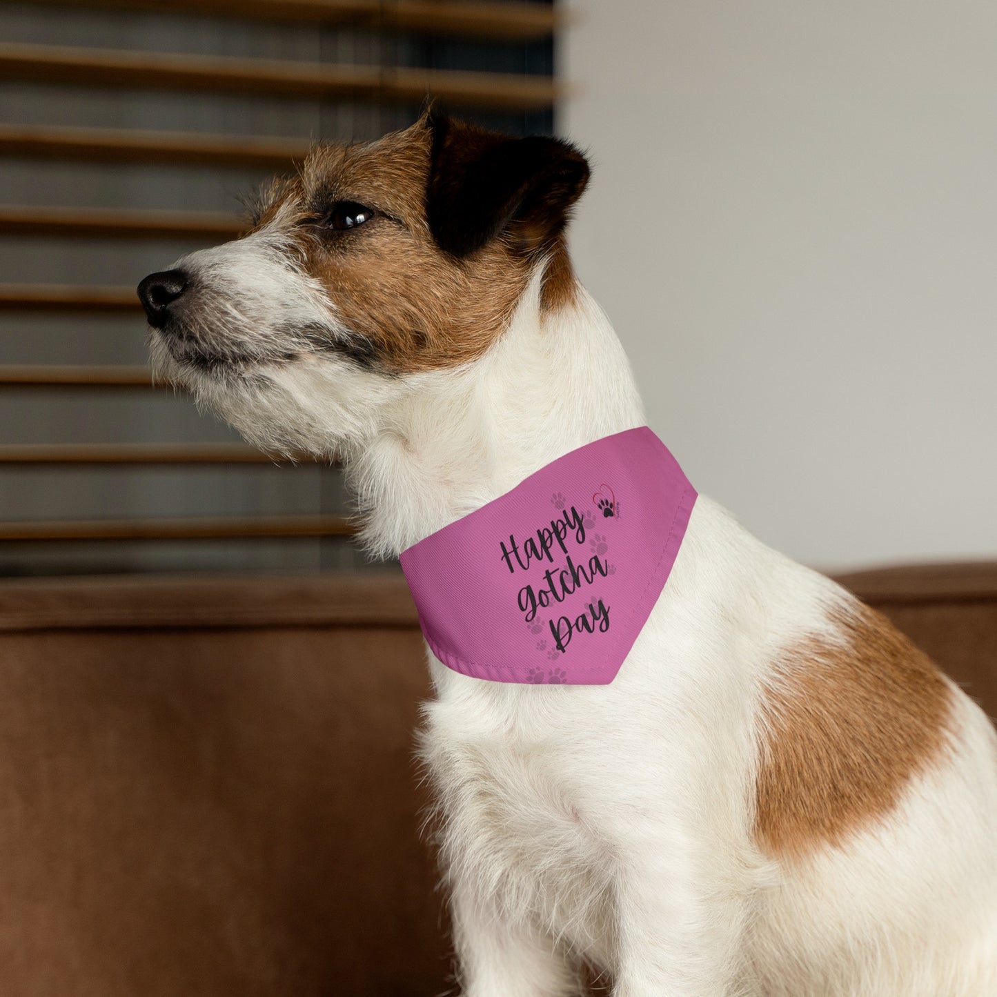 Shelter Line: Pet Bandana Collar